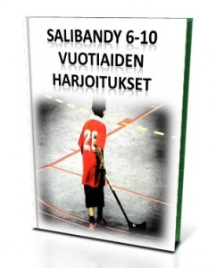 6-10 Vuotiaiden Salibandyharjoitteet, Harjoitteita, Säbä